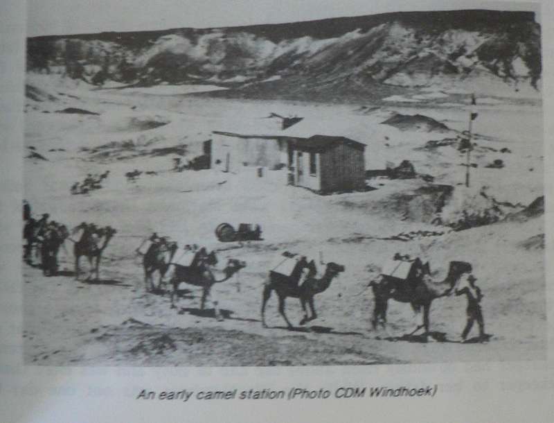 Diamond Beaches, a history of Oranjemund 1928-1989 (Northern Cape/Namibia country history)