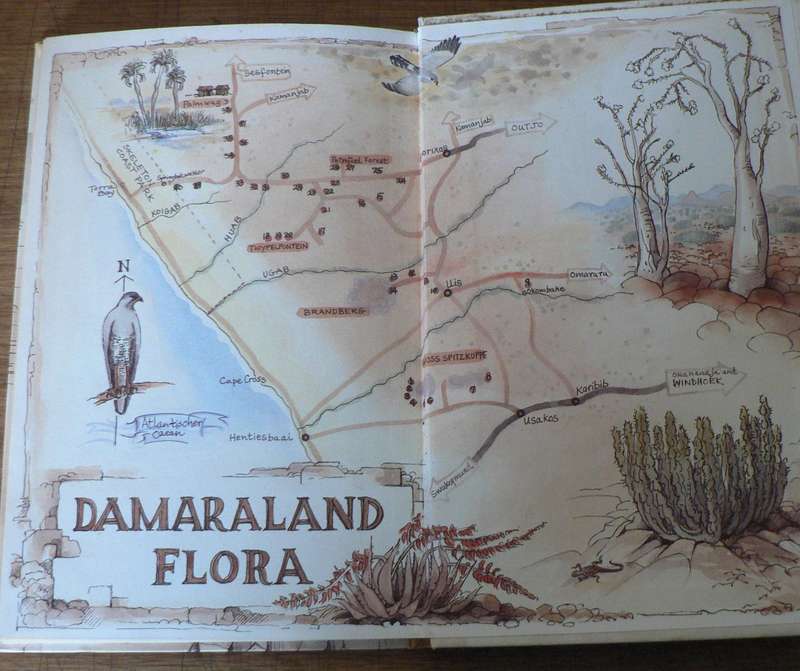 Damaraland Flora deur Patricia Craven en Christine Marais (SWA/Namibia)