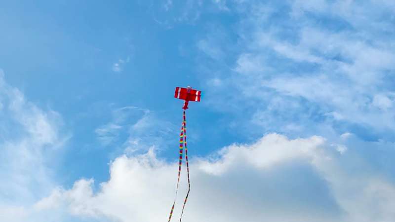 Innovative 3DBI Airplane Kite - Amazing Stereo Sound