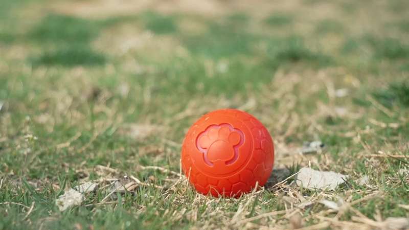 1Pc 2.5cm Durable Pet Toy Automatic Dog Toy Ball Electric Smart Remote Control Ball Gravity Jump Bal