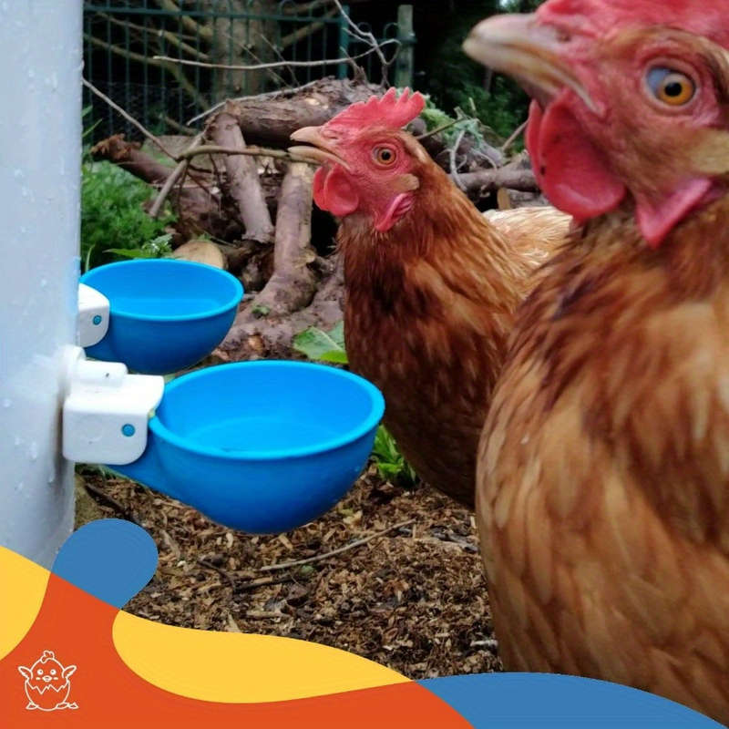 5-Pack Large Blue Automatic Chicken Drinkers