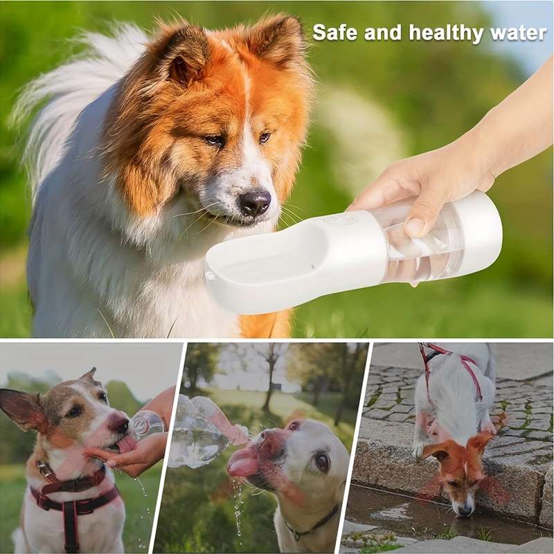 Pet Outdoor Water Cup Portable Travel Cup
