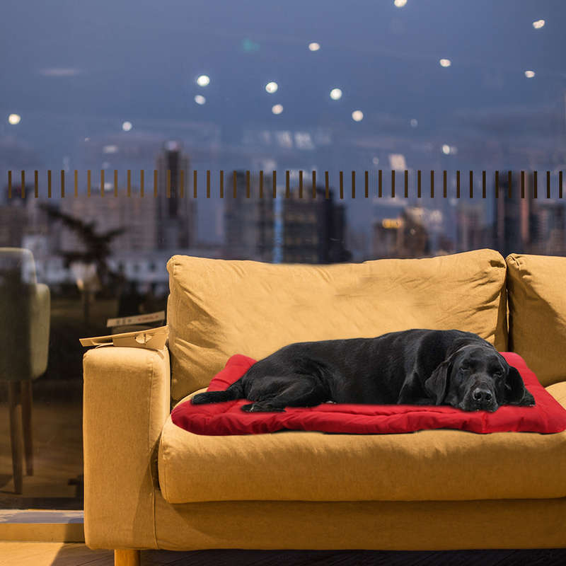 Waterproof Folding Dog Bed