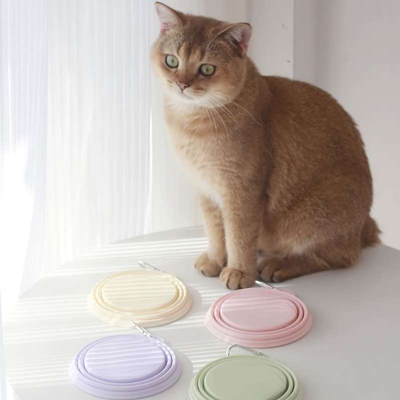 Pet Portable Folding Bowl For Cats And Dogs