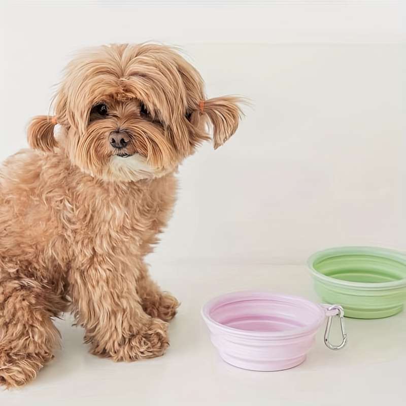 Pet Portable Folding Bowl For Cats And Dogs