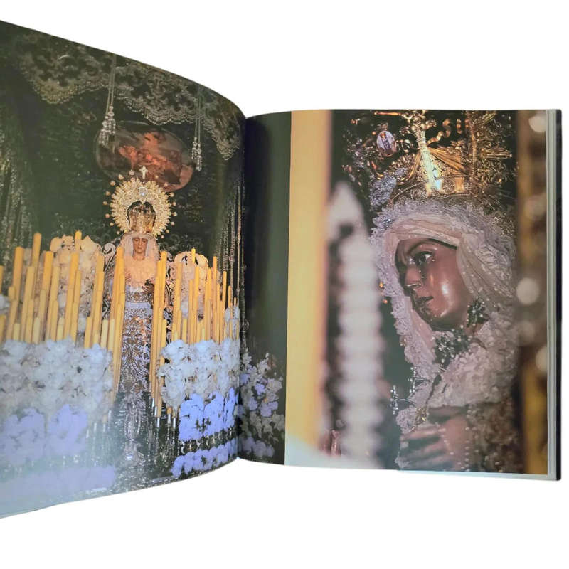The Cult of the Virgin - Marie-France Boyer FREE SHIPPING