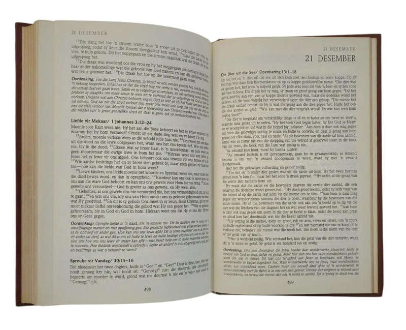 Die Eenjaarbybel: Nuwe Testament - Lees die volledige nuwe testament in 365 dae
