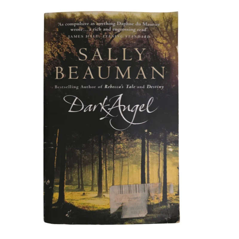 Dark Angel - Sally Beauman