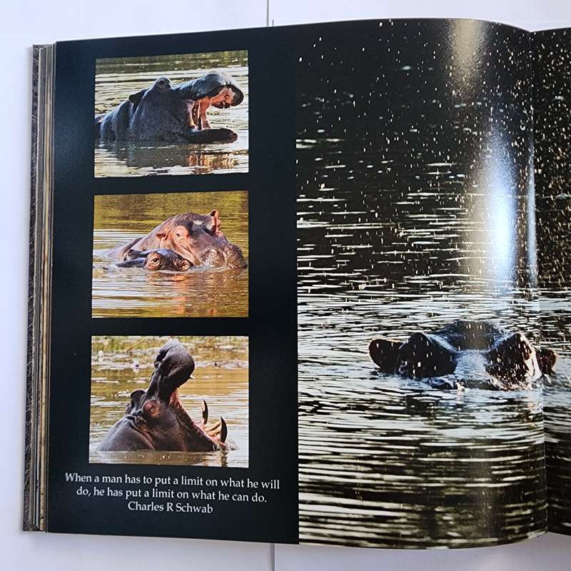 My Book by Brian Joffe