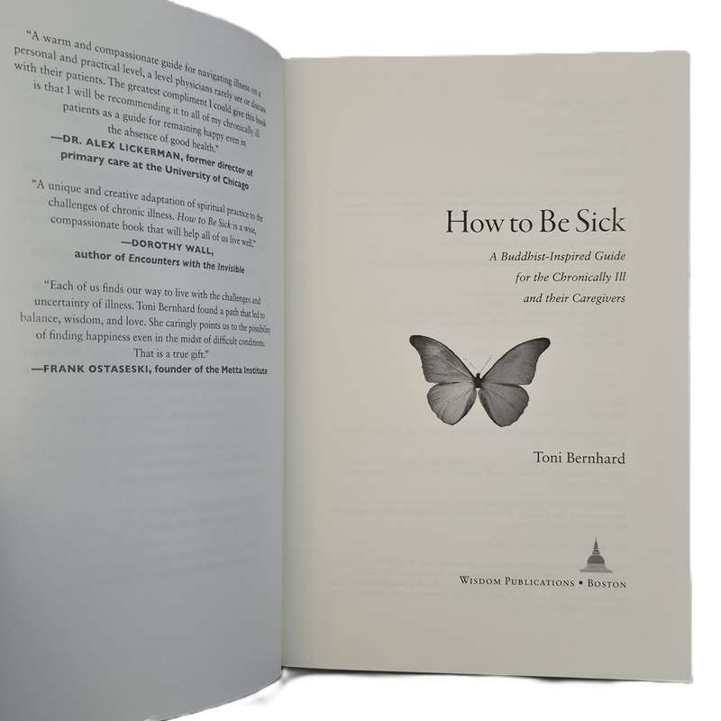 HOW TO BE SICK: A BUDDHIST-INSPIRED GUIDE FOR THE CHRONICALLY ILL & THEIR CAREGIVERS:  BERNHARD