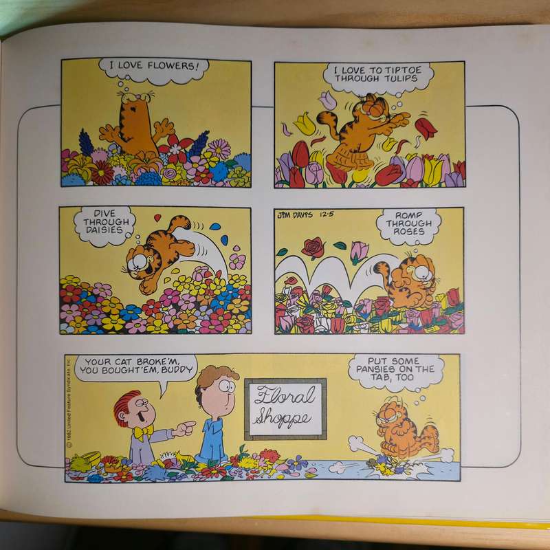 The Garfield Super Treasury - Jim Davis