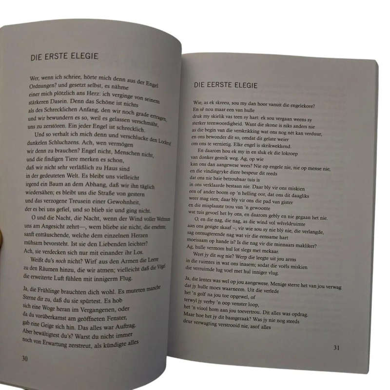 Duino- Elegieë - Rainer Maria Rilke - vertaal deur HJ Pieterse (Duino Elegies)