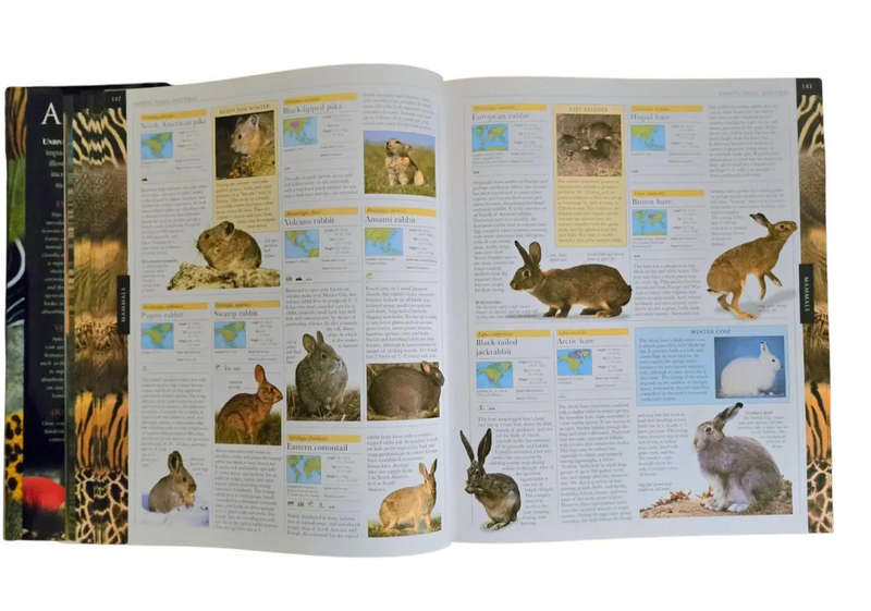 Animal: The definitive visual guide FREE SHIPPING