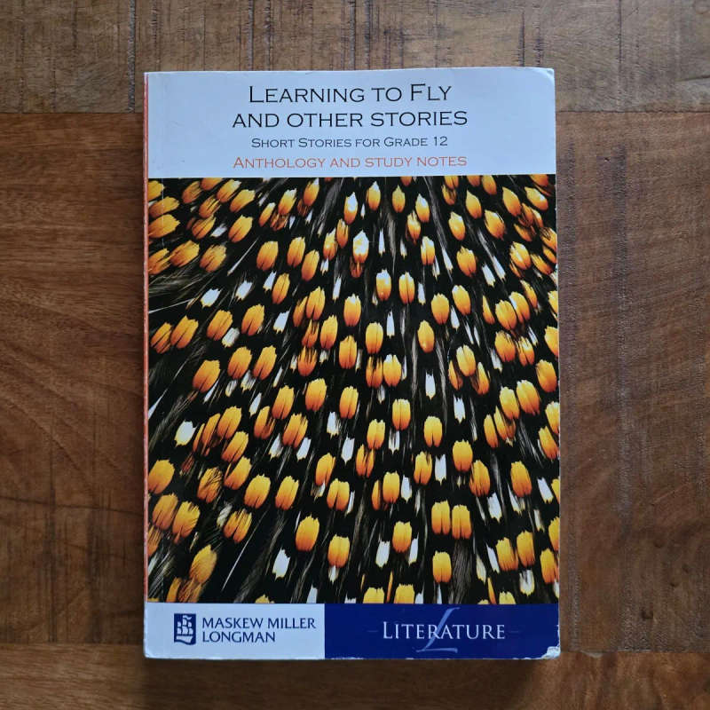 Learning to fly and other stories