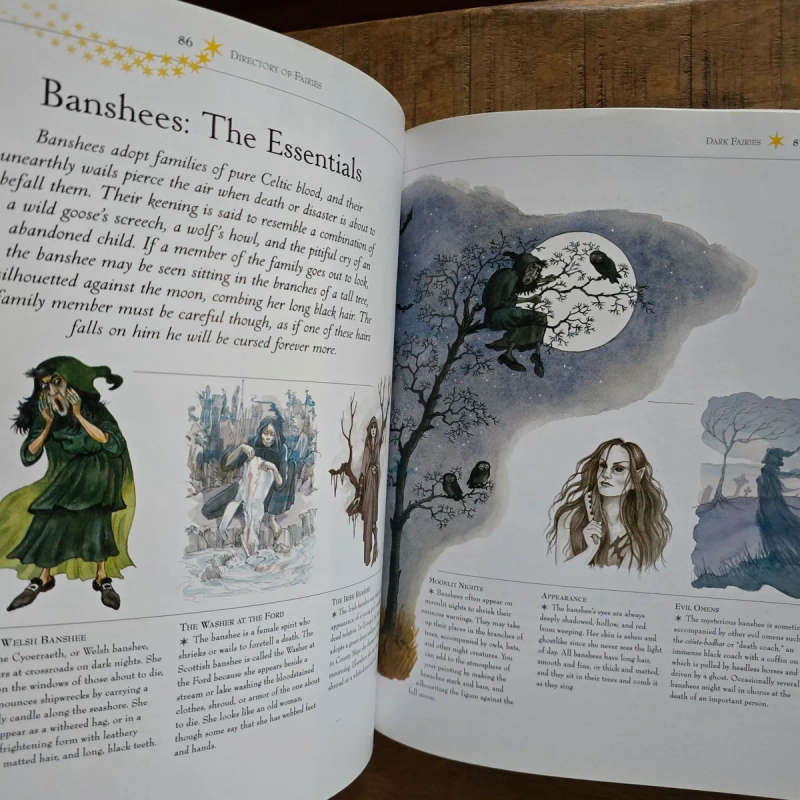 Watercolor Fairies: A step-by-step guide to creating the fairy world  David Riche and Anna Franklin