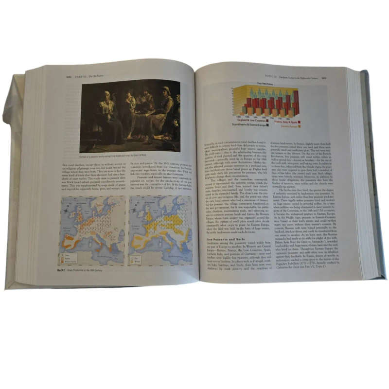 The western Perspective  Philip V Cannistraro & John J Reich, 1999