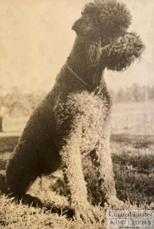 Travels with Charley - John Steinbeck