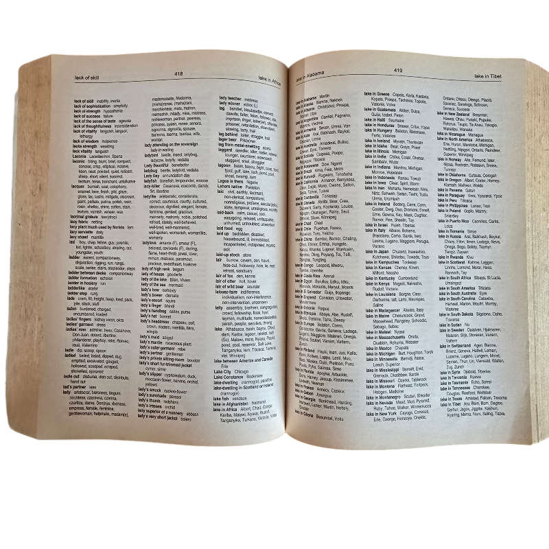 Pansegrouws Crossword Dictionary (1999 edition) - Louisa Pansegrouw