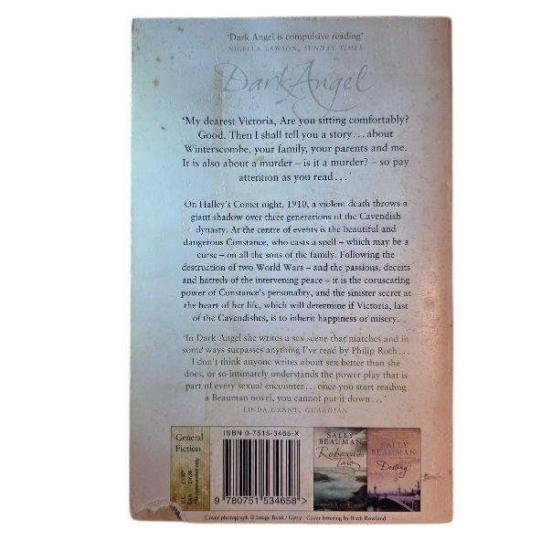 Dark Angel - Sally Beauman