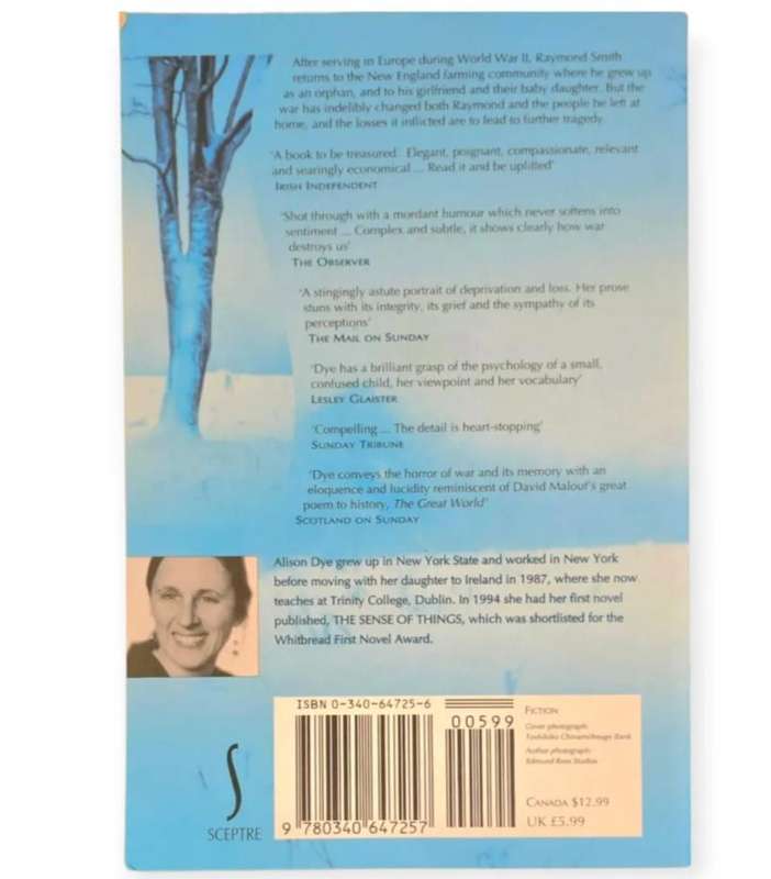 Memories of snow - Alison Dye