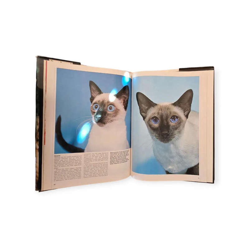 Best loved cats of the world - Peter McHoy
