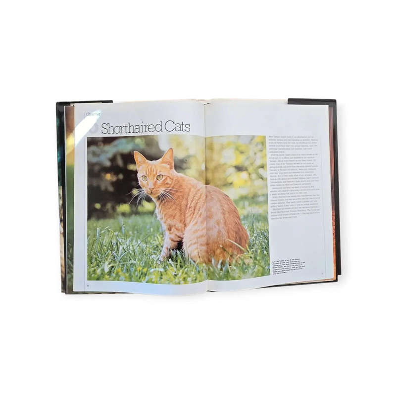 Best loved cats of the world - Peter McHoy