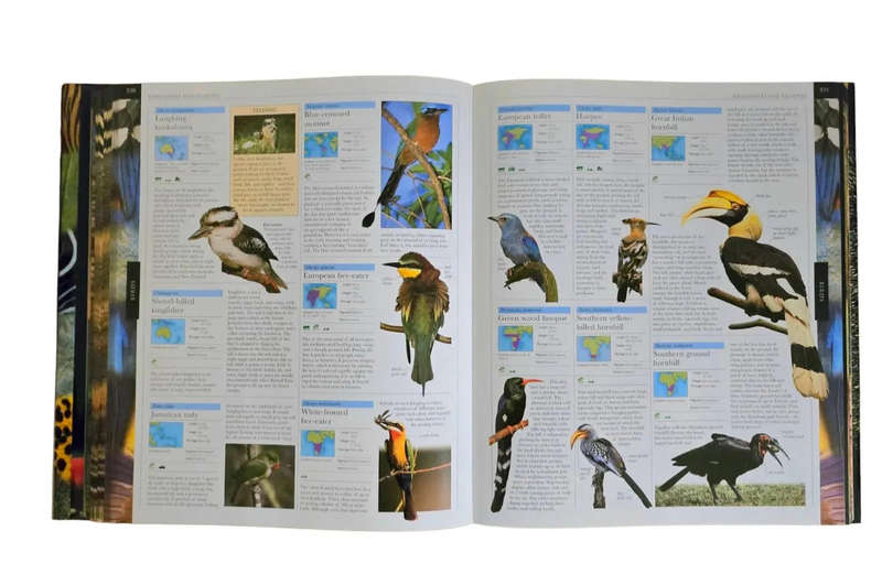 Animal: The definitive visual guide FREE SHIPPING
