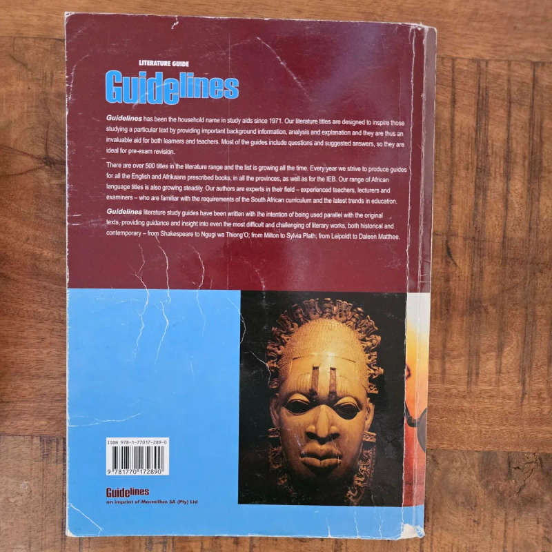The Great Gatsby Guidelines literature guide