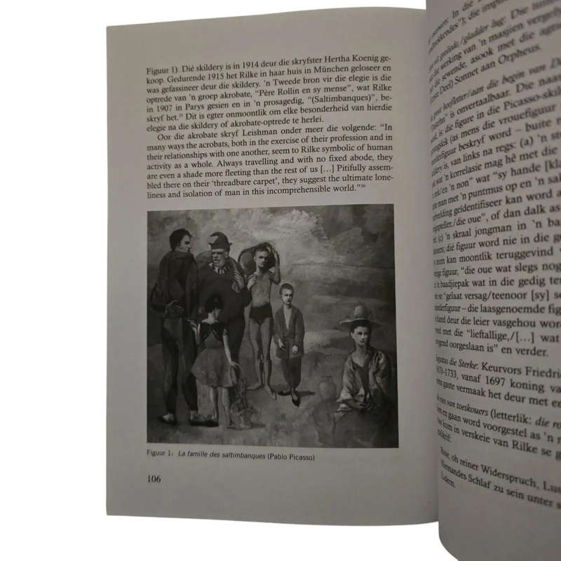 Duino- Elegieë - Rainer Maria Rilke - vertaal deur HJ Pieterse (Duino Elegies)