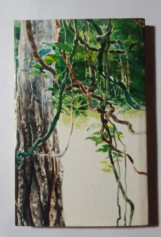 Little brother-By: Allan Baillie