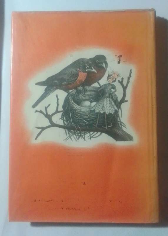 Miss hickory-By: Carolyn Sherwin Bailey