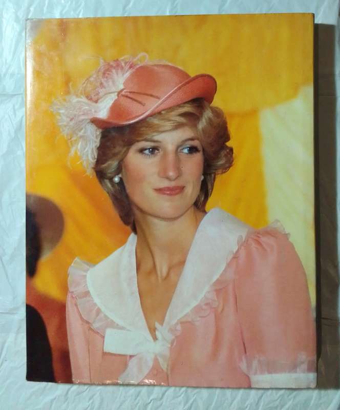 Diana princess of wales: the book of fashion-By: Jane Owen