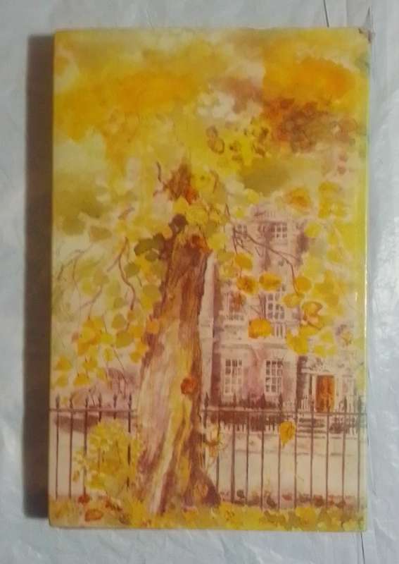 A flute in mayferry street- By: Eileen Dunlop