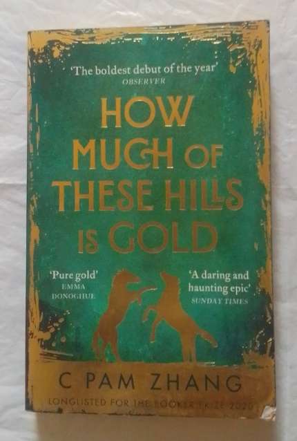 How much of these hills is gold-By: C Pam Zhang