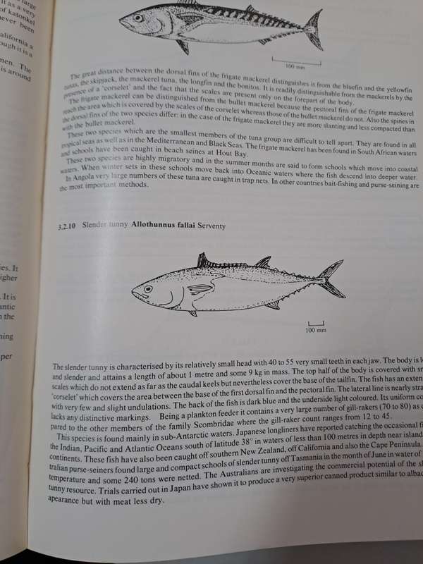 THE TUNA AND BILLFISHES OS SOUTHERN AFRICA