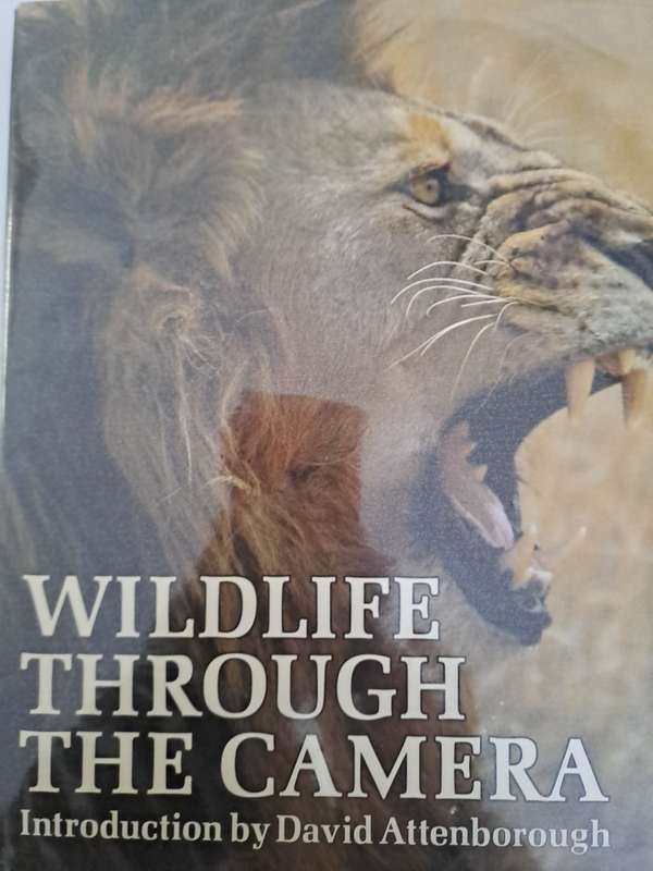 WILDLIFE THROUGH THE CAMERA