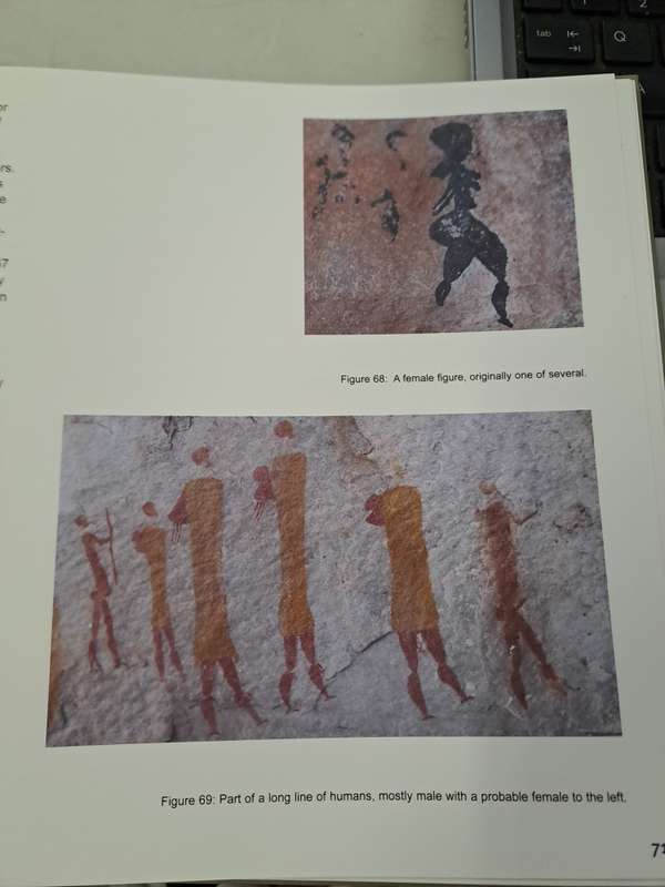 CEDERBERG ROCK PAINTINGS. By John Parkington