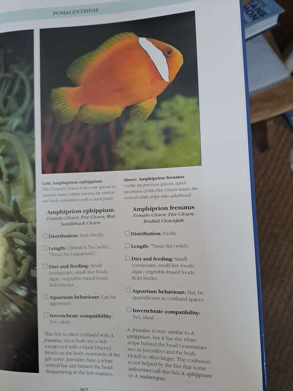 THE BOOK OF MARINE AQUARIUM. By Nick Dakin
