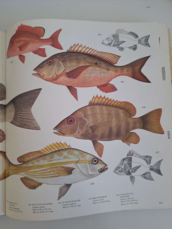 FISHING THE COMPLETE BOOK