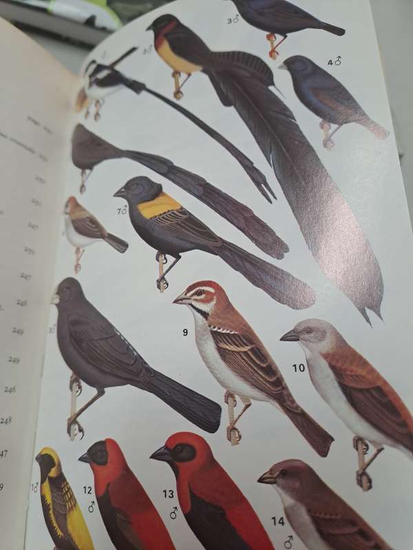 A FIELD GUIDE TO THE BIRDS OF WEST AFRICA. By W Serle, G Morel & W Hasrtwig