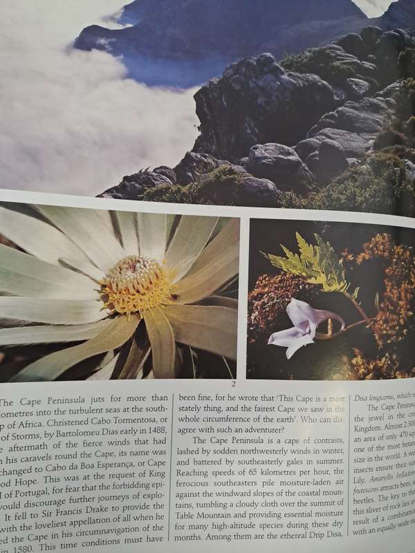 SOUTHERN AFRICAN WILD FLOWERS By John Manning (Signed)