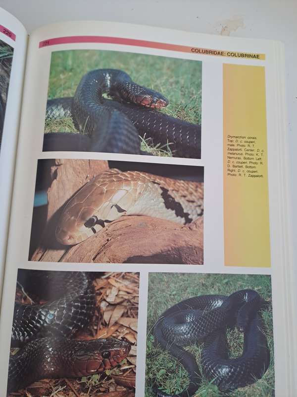 THE ATLAS OF SNAKES OF THE WORLD.  By J Coborn