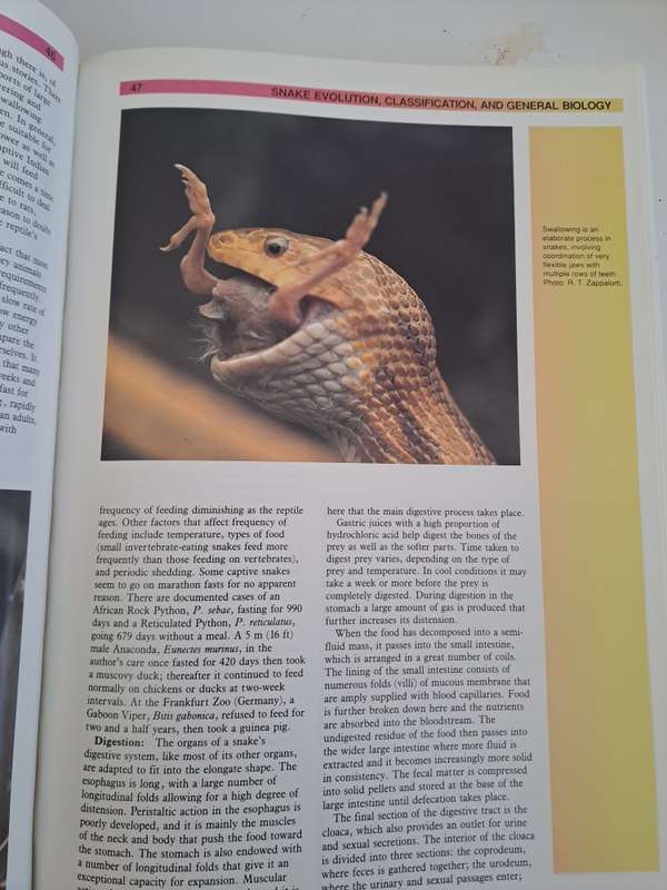 THE ATLAS OF SNAKES OF THE WORLD.  By J Coborn