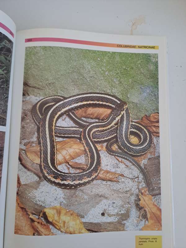 THE ATLAS OF SNAKES OF THE WORLD.  By J Coborn