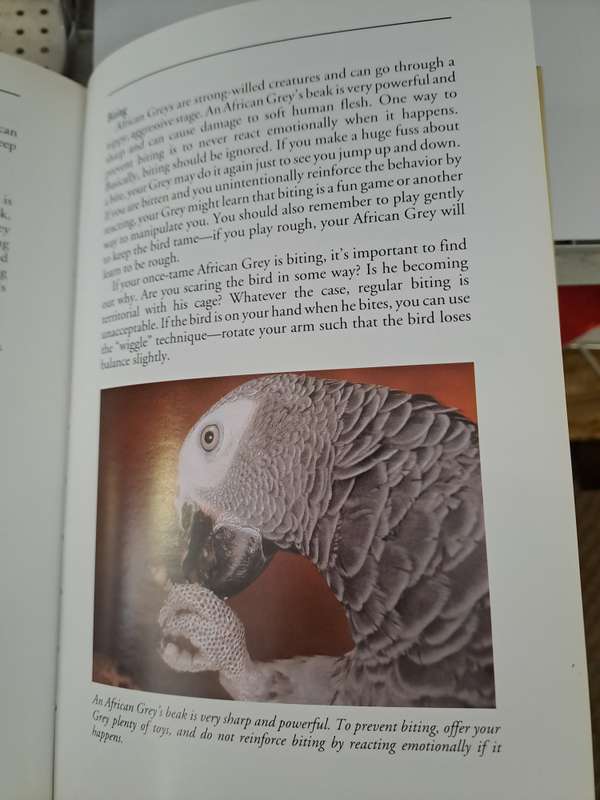 AFRICAN GREY PARROTS. By N Moustaki