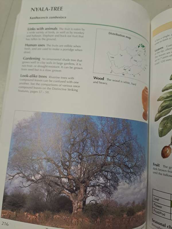 SAPPI TREE SPOTTING LOWVELD INCLUDING KRUGER NATIONAL PARK.