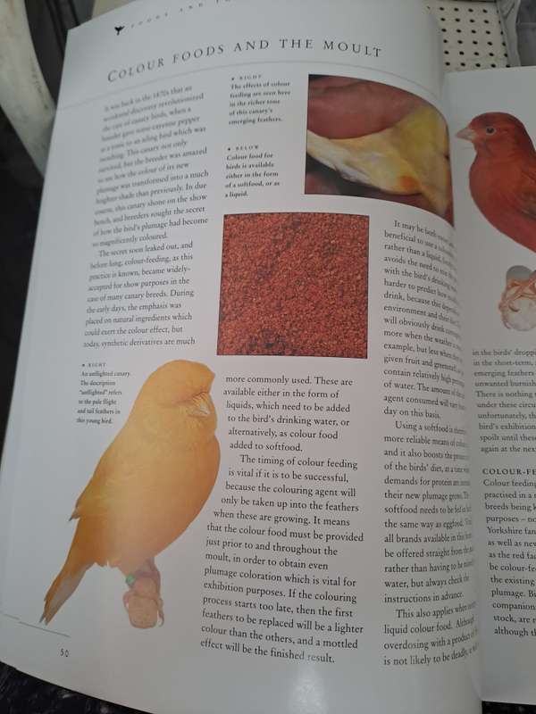 CAGED AND AVIARY BIRDS. By D Alderton