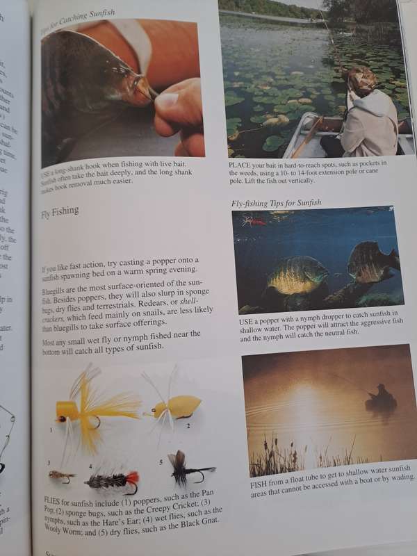 THE ART OF FRESHWATER FISHING