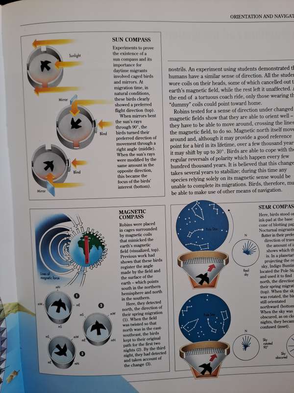 ATLAS OF BIRD MIGRATION