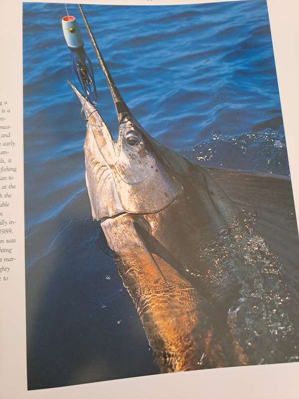 DEEP SEA FISHING. By B Matsen